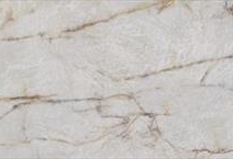 Onyx Nature-Printed Full Body